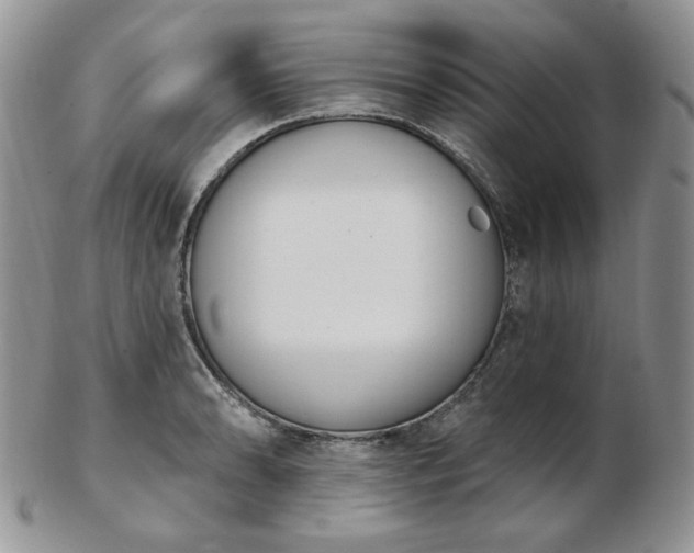 X0000102871086200808251235