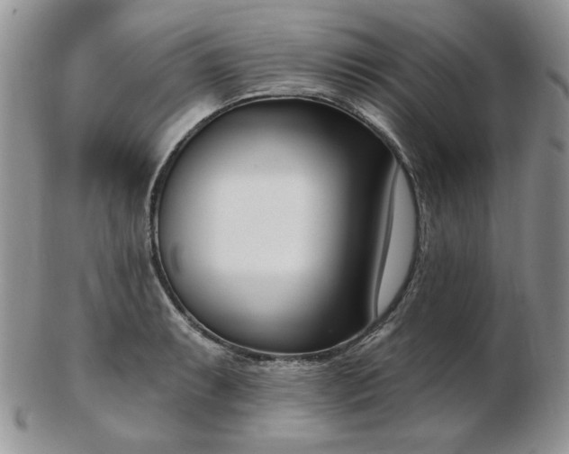 X0000102871087200808251235