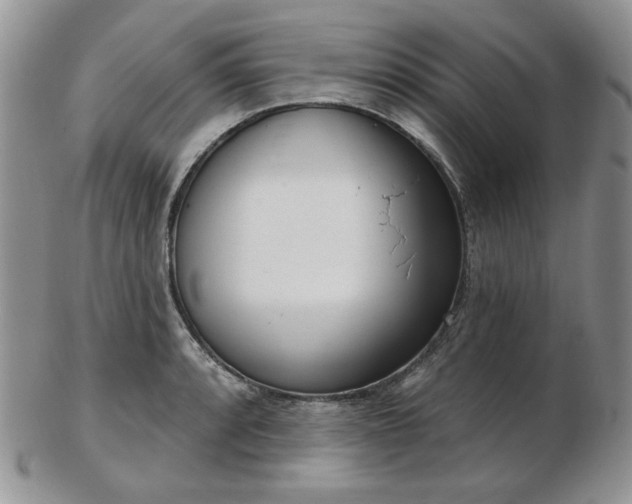 X0000102871088200808251235