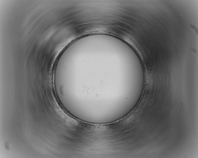 X0000102871090200808251235