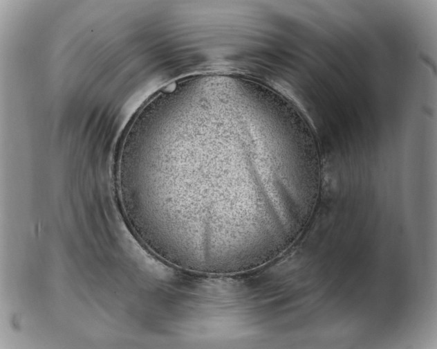 X0000102871091200808251235