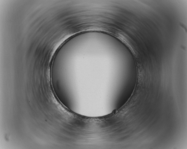 X0000102871092200808251235