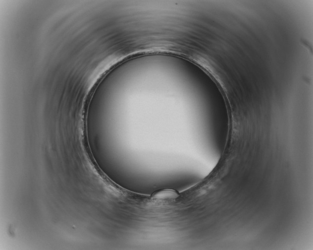 X0000102871093200808251235
