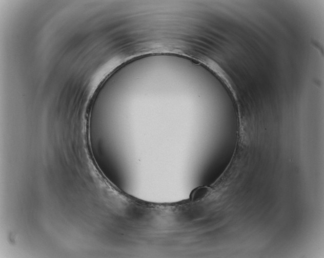 X0000102871096200808251235