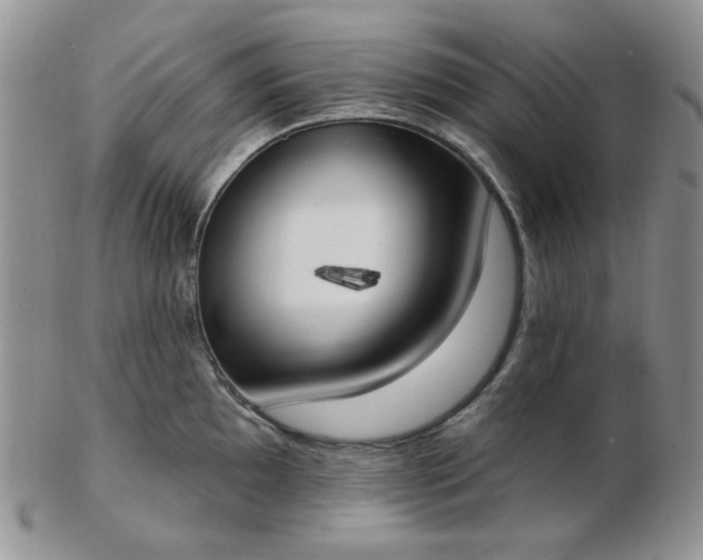 X0000102871097200808251235
