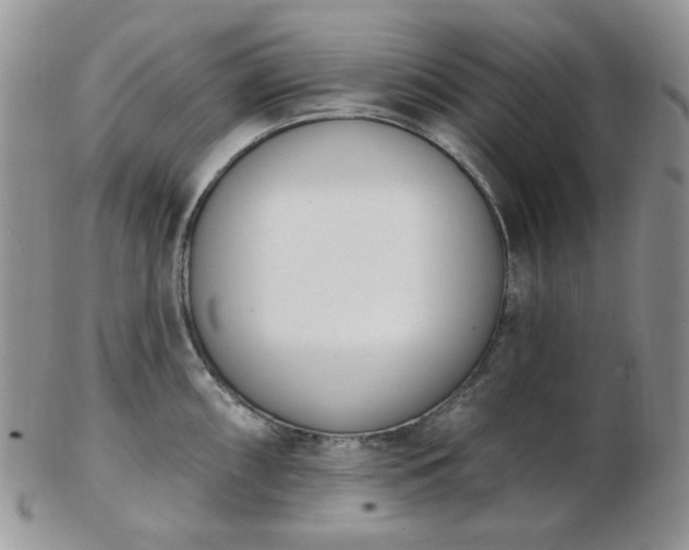X0000102871098200808251235