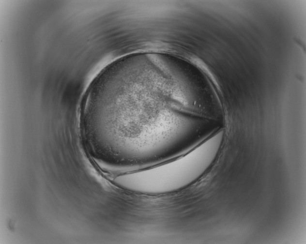 X0000102871099200808251235