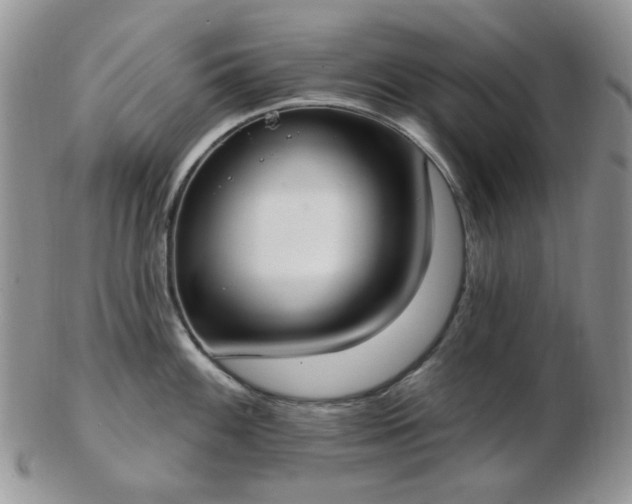X0000102871100200808251235