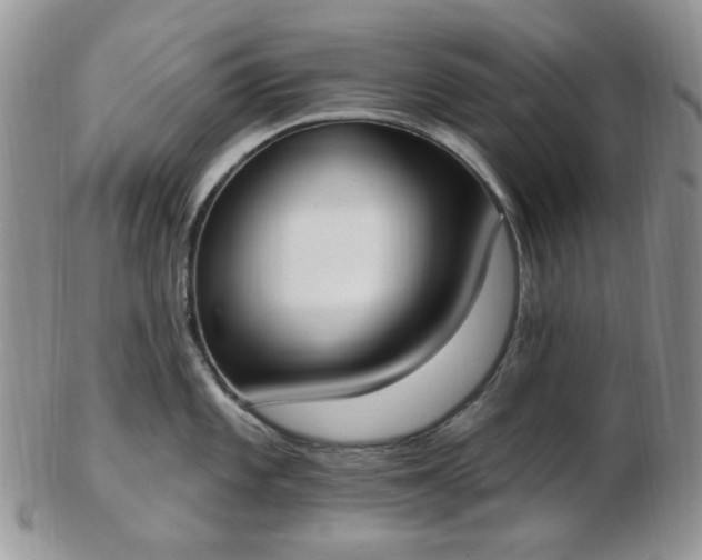 X0000102871101200808251235