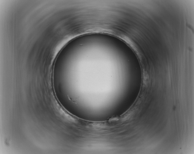 X0000102871102200808251235