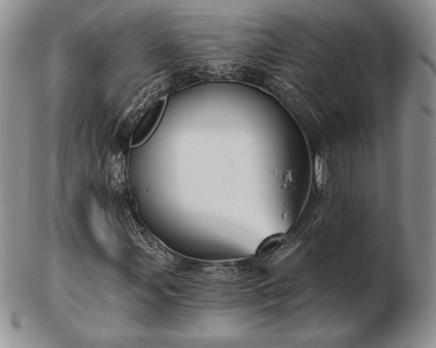 X0000102871107200808251234