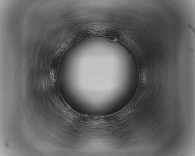 X0000102871108200808251235