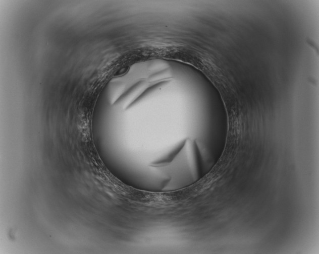 X0000102871109200808251235