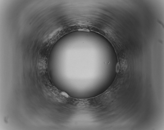 X0000102871110200808251235