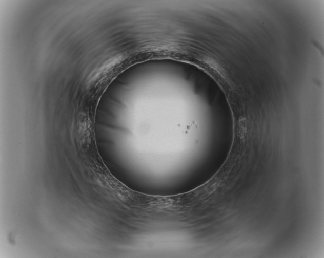 X0000102871111200808251235