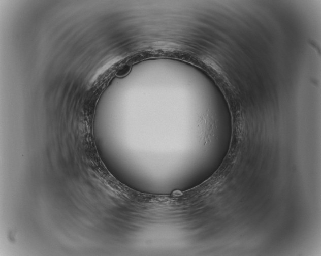 X0000102871112200808251235