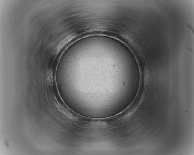 X0000102871113200808251235
