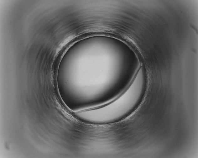 X0000102871114200808251235