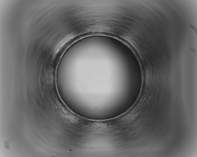 X0000102871115200808251235