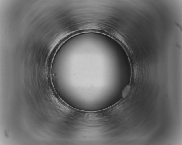 X0000102871116200808251235