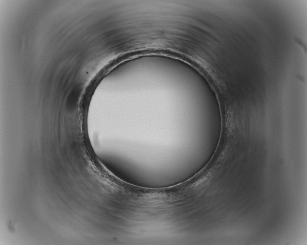 X0000102871118200808251235