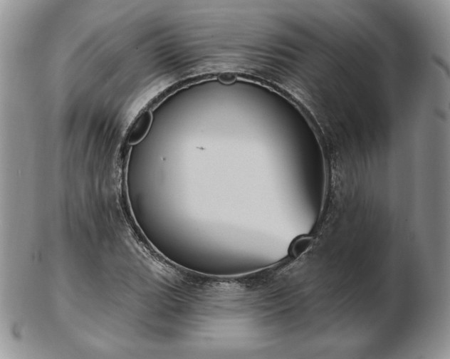 X0000102871119200808251235