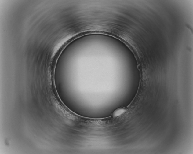 X0000102871120200808251235