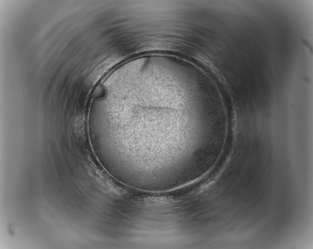 X0000102871121200808251235