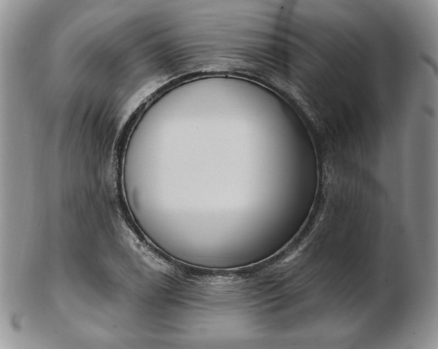 X0000102871122200808251235