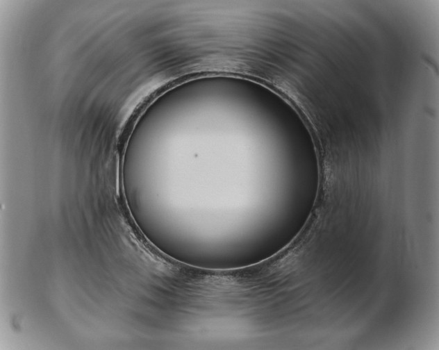X0000102871123200808251235
