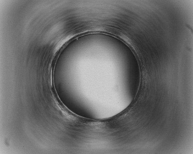 X0000102871127200808251235