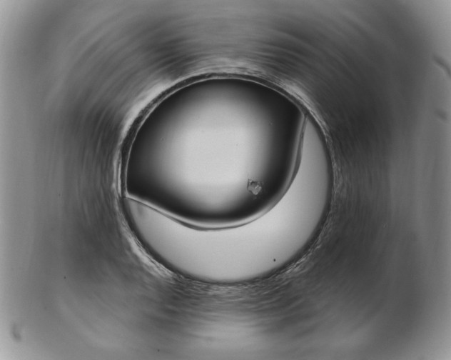 X0000102871128200808251235