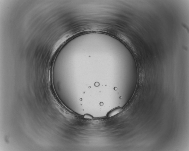 X0000102871130200808251235