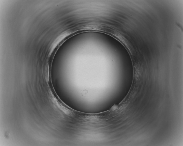 X0000102871131200808251235