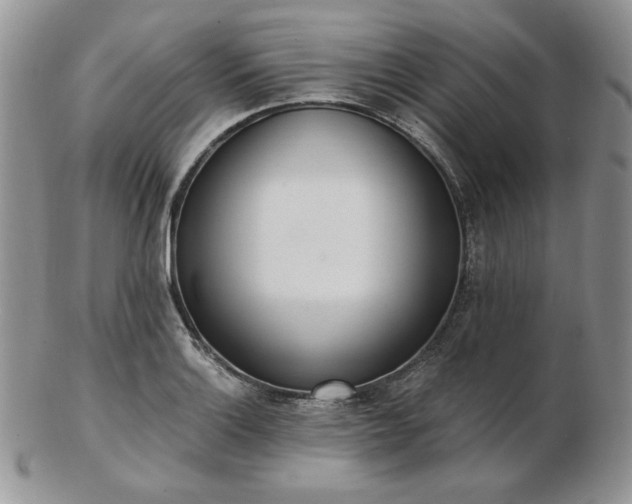X0000102871132200808251235