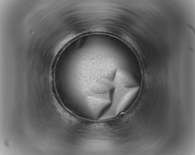 X0000102871133200808251235