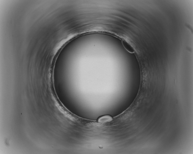X0000102871134200808251235
