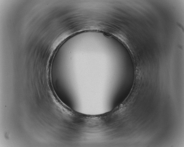 X0000102871135200808251235