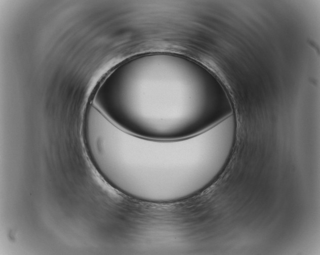 X0000102871136200808251235
