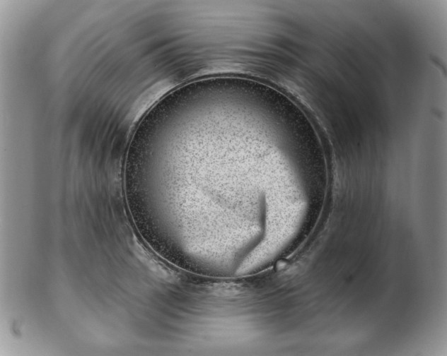 X0000102871137200808251235