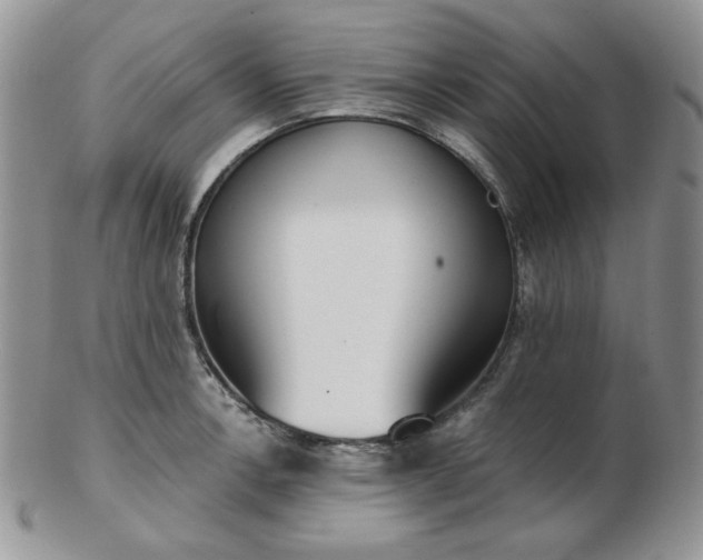 X0000102871138200808251235