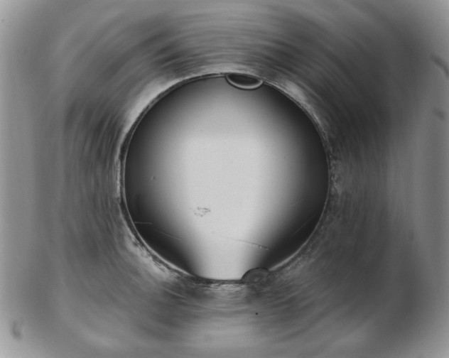 X0000102871140200808251235