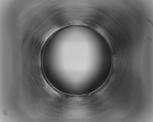 X0000102871141200808251235