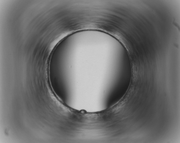 X0000102871142200808251235