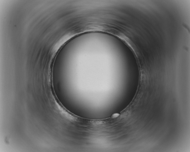 X0000102871143200808251235