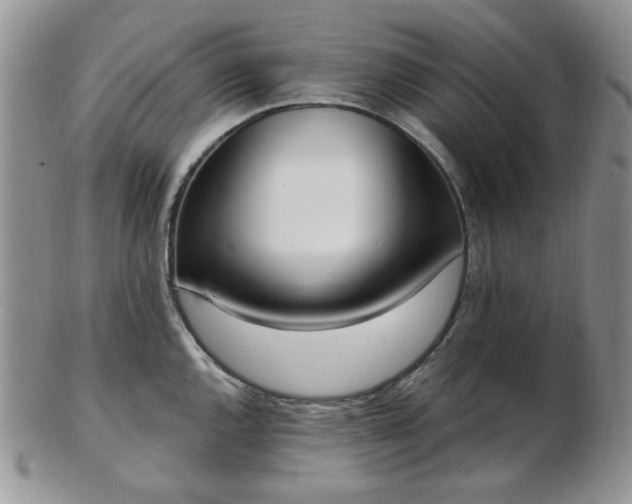 X0000102871144200808251235