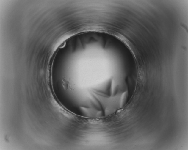 X0000102871147200808251235
