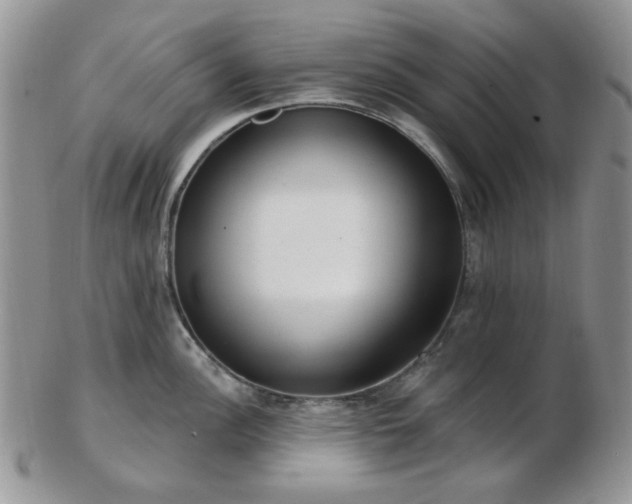X0000102871148200808251235