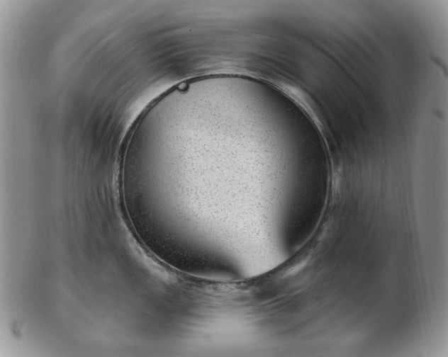 X0000102871149200808251235