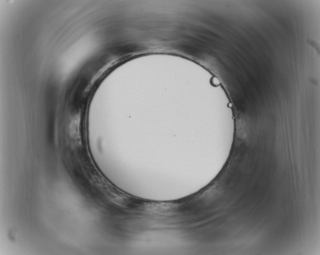 X0000102871150200808251235